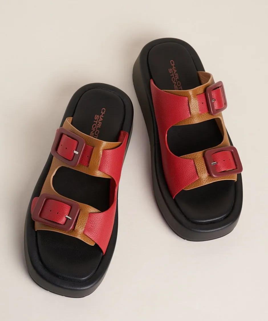 irene_in_begonia_6-1.webp Charlotte Stone Irene In Begonia*Women Flats